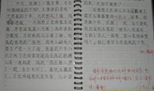 送报的少年读后感