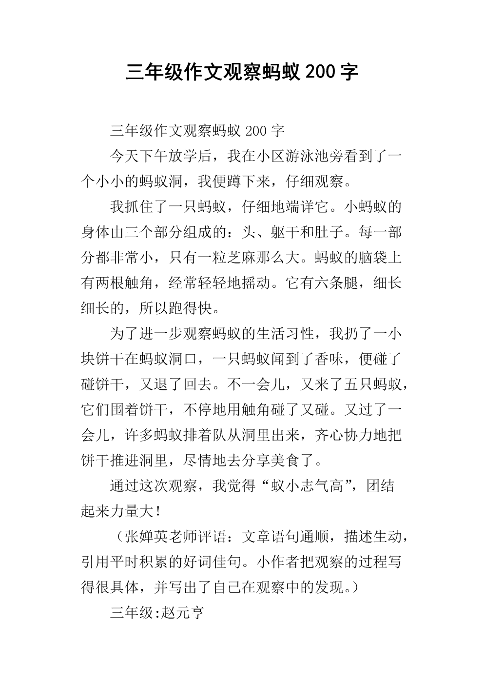 关于蚂蚁的组成