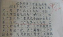 我的爷爷奶奶作文