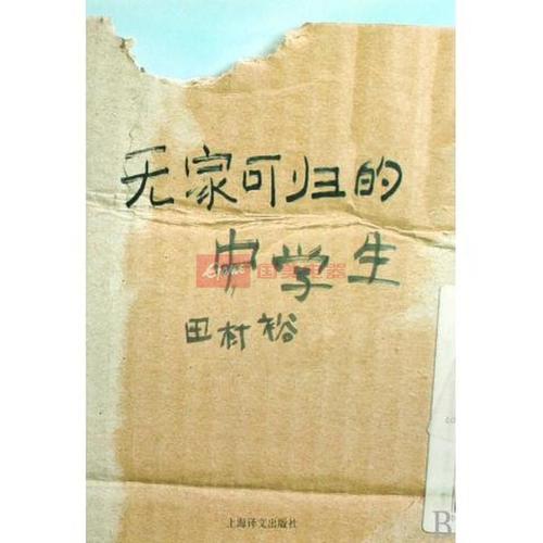 无家可归的中学生阅读后的感受