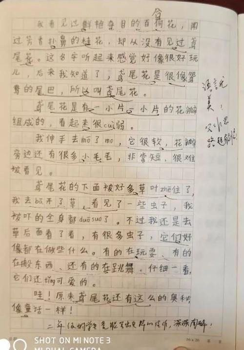 2018年全国高考全场作文第二卷：尘无尘，珍珠难露