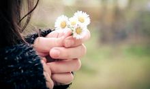 善良是一座可以走进你我彼此心房的桥