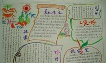 教育激扬生命读后感