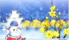 母亲的抉择读后感