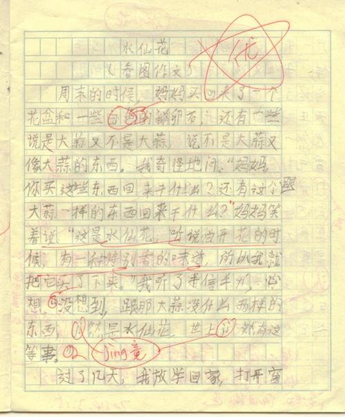 关于水仙花的成分