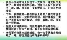 写蚂蚁团结的作文