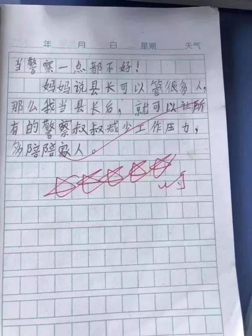 如果我是警察写作