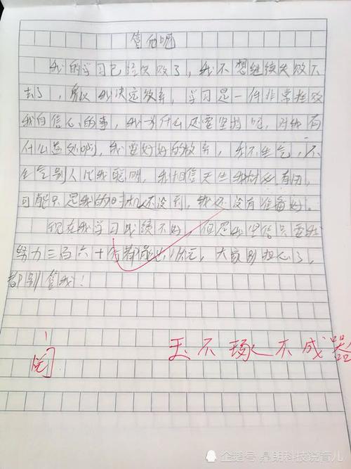 小学作文老师，我想告诉你