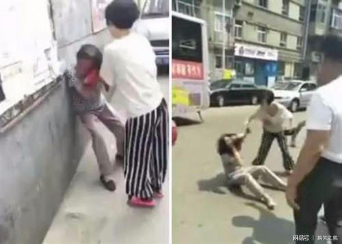 第二代农民：现实迫使我们成为不孝的后代