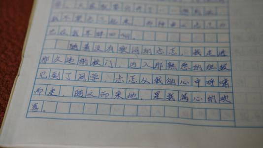 兔子生日作文