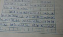 小兔过生日作文