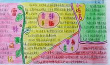 夸夸我们班小学作文