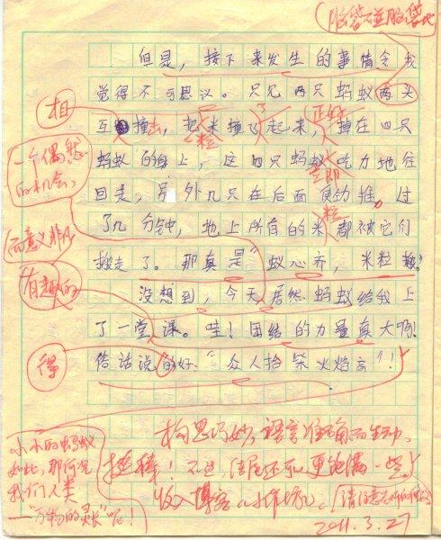 蚂蚁组成600字