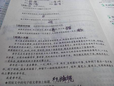观察花的组成