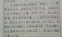 今天的雨真大作文