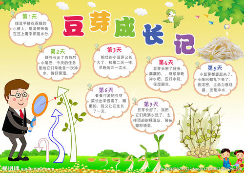 植物观察日记
