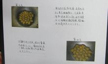 关于观察植物的日记