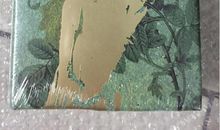 夏洛蒂勃朗特读后感