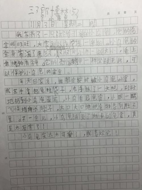 小乌龟的作文350字