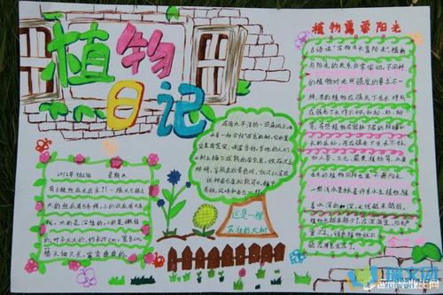 观察植物日记