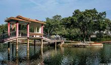 游公园作文600字