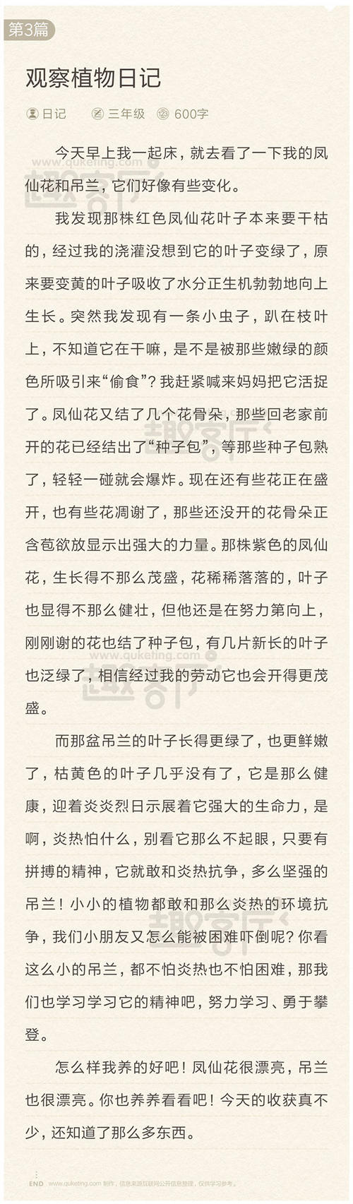 观察植物日记250字