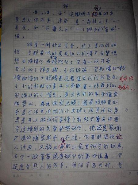 小动物作文100字