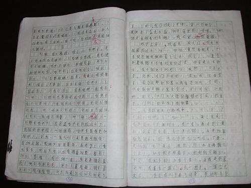 游泳历险记