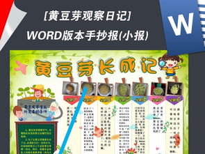 小学观察植物日记