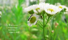 七堇年经典语录语句