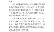 小动物五年级作文