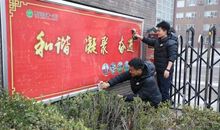 学雷锋见行动作文