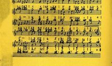 介绍一部电影的作文