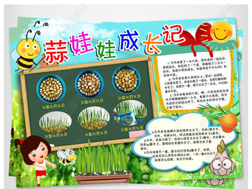 植物生长观察日记