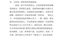 元旦见闻作文100字