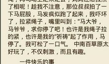 元旦见闻作文350字