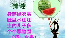 介绍一种水果600字作文