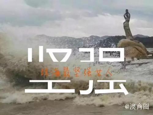 台风作文100字