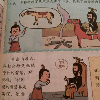老马的感受