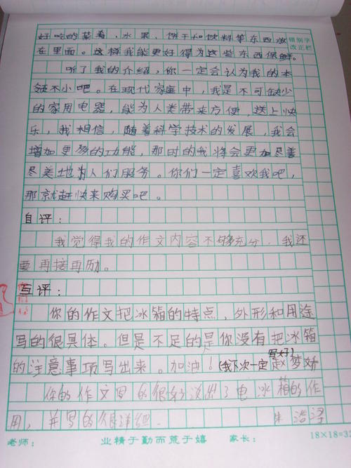 介绍200字的作文