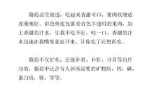 介绍一种水果400字作文