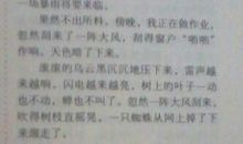 介绍一种物品400字作文