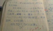 元旦记事作文