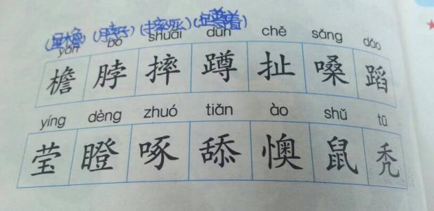 台风作文600字