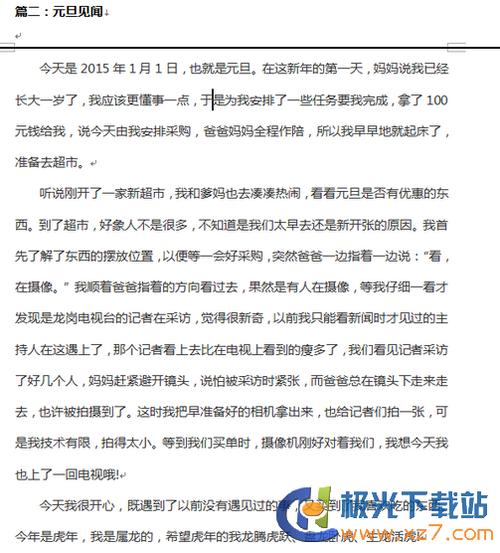 元旦作文250字
