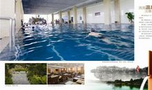 逍遥游读后感作文