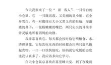 观察动物的作文