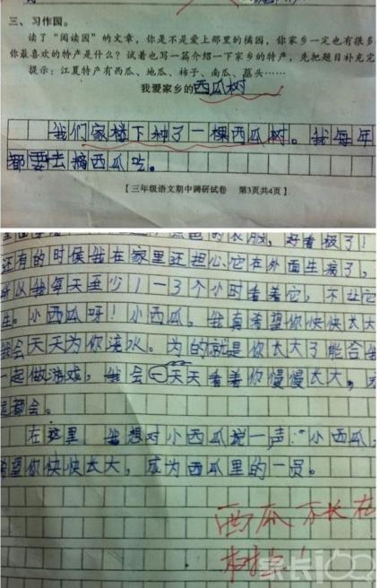 介绍500字的水果