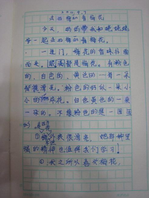 观察日记