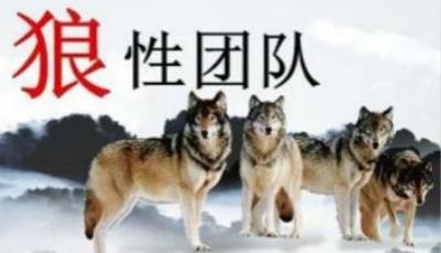 看完狼队
